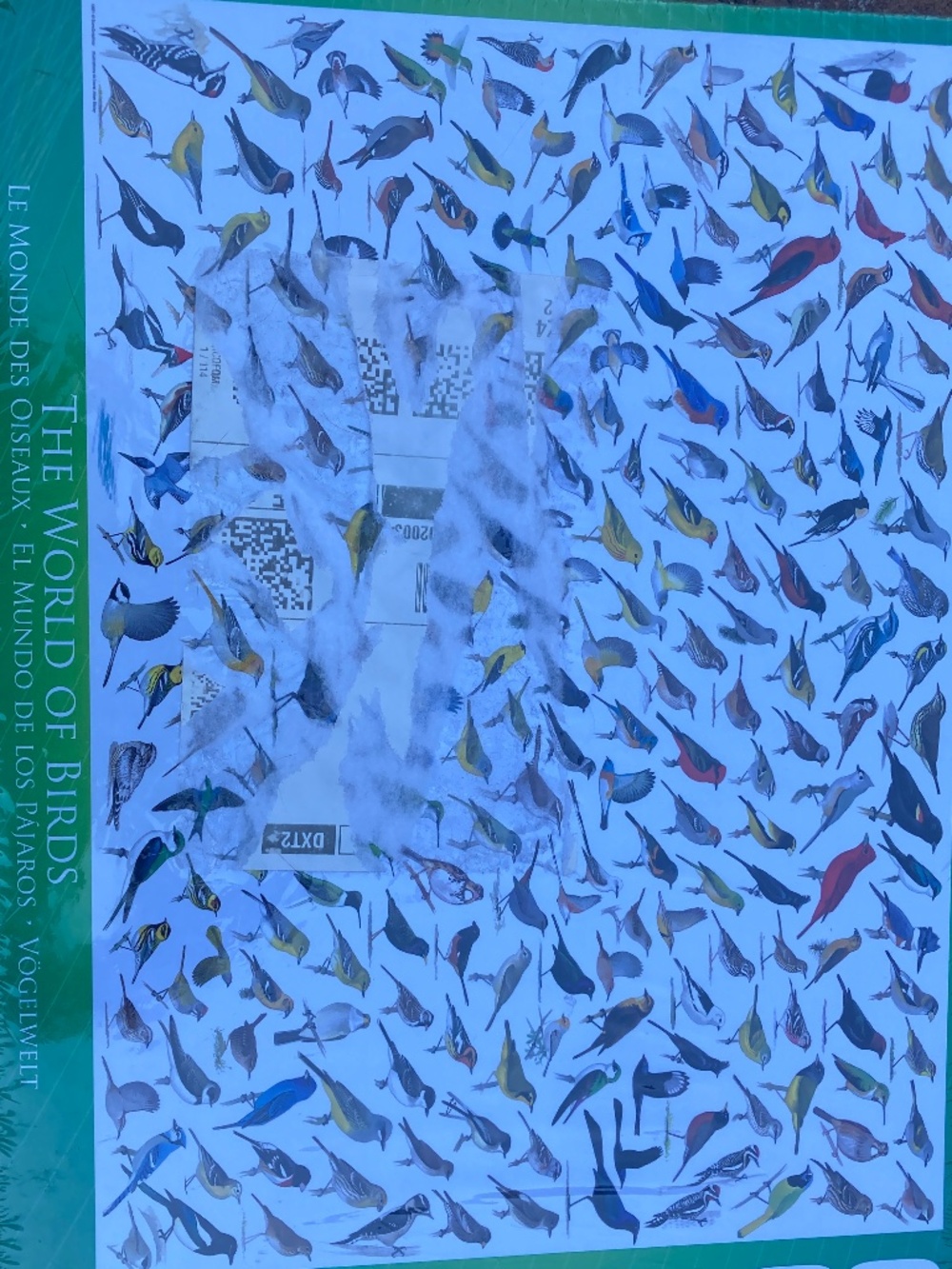 Eurographics 1000 pc Bird Puzzle NEW